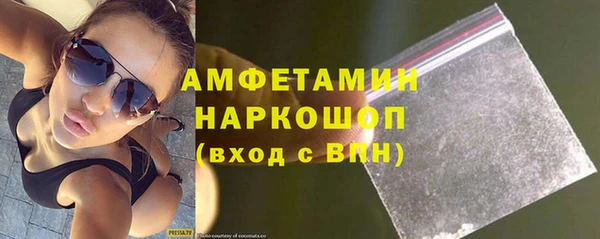 гашик Вяземский