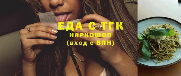 гашик Вяземский
