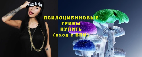 гашик Вязники