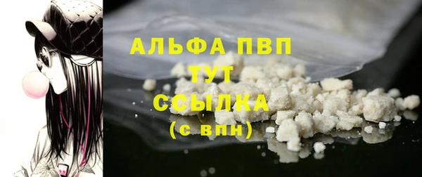 гашик Вяземский