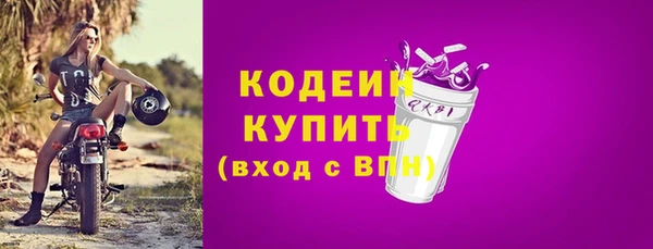 гашик Вяземский