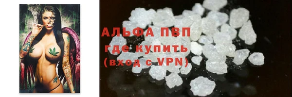 гашик Вяземский
