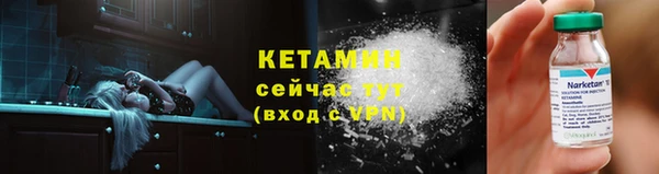 гашик Вяземский