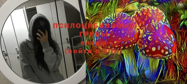 сатива Вязьма