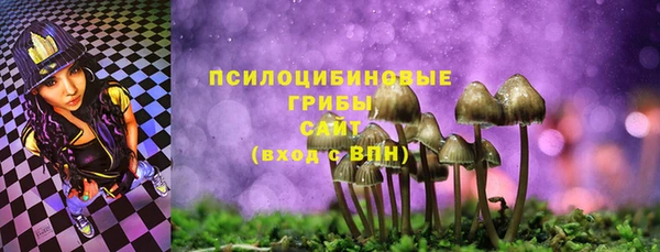 сатива Вязьма
