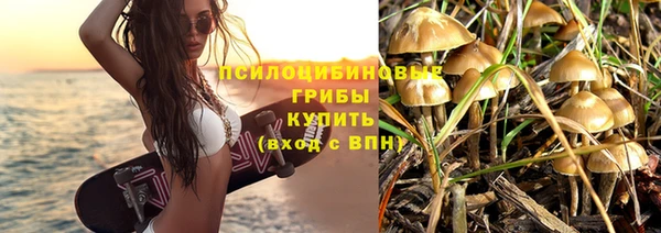 сатива Вязьма