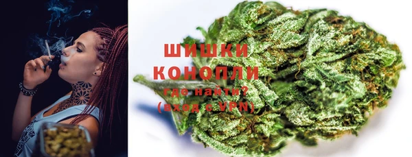 гашик Вяземский