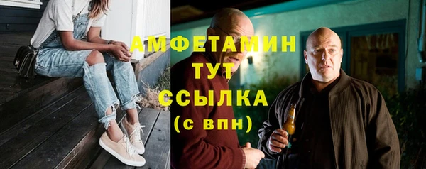 гашик Вяземский
